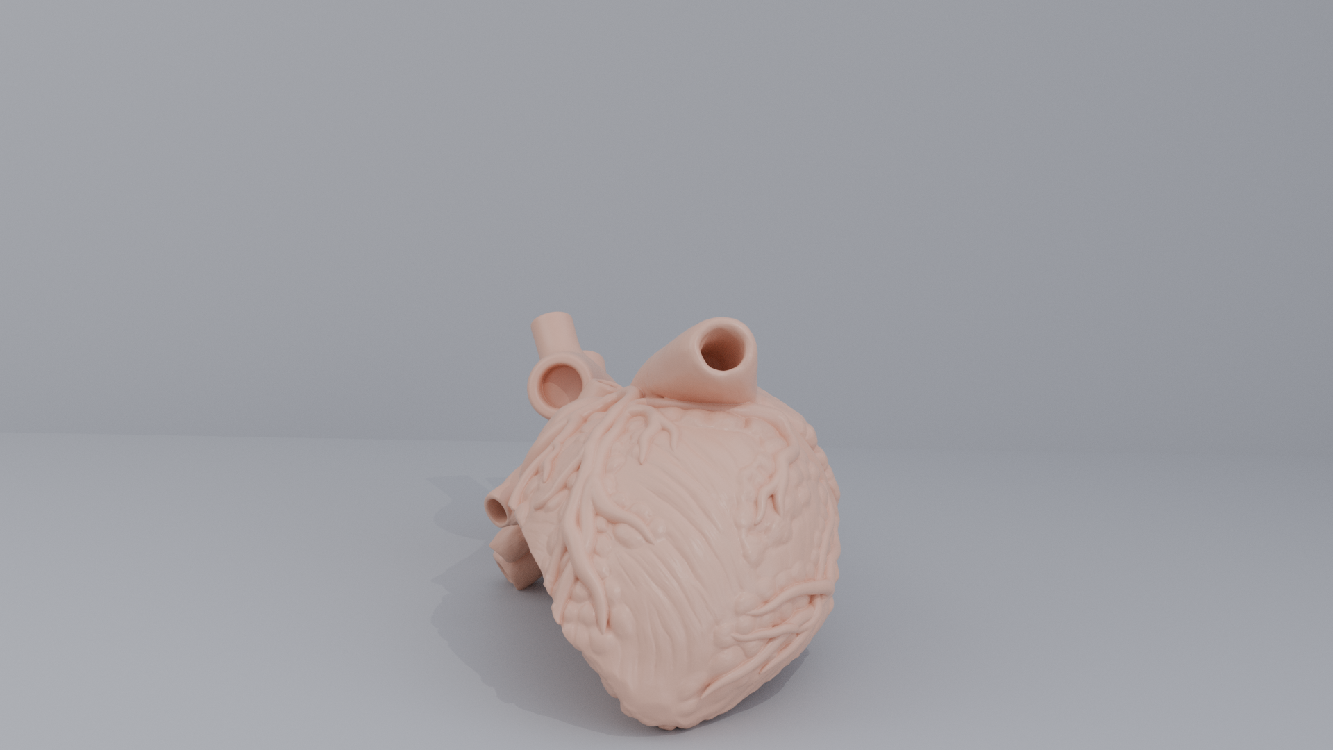 Human Heart Cross section 3D printing