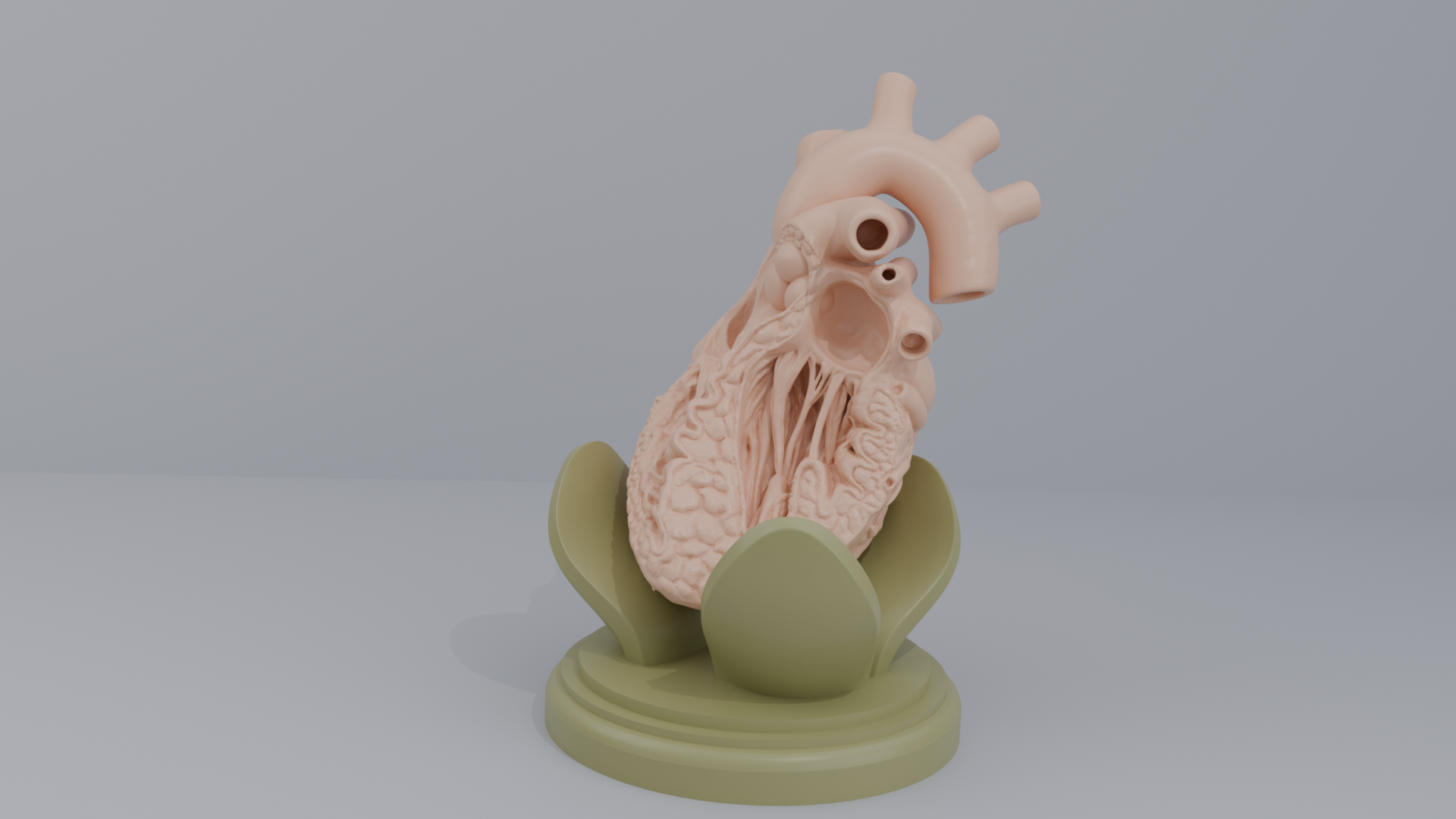 Human Heart Cross section 3D printing