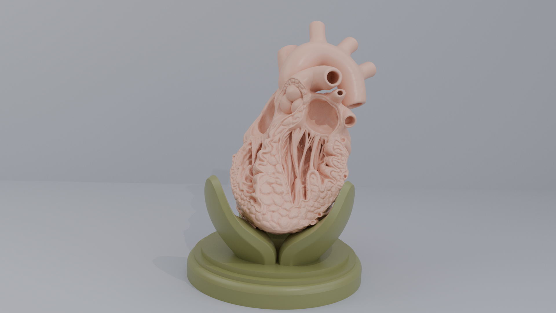 Human Heart Cross section 3D printing