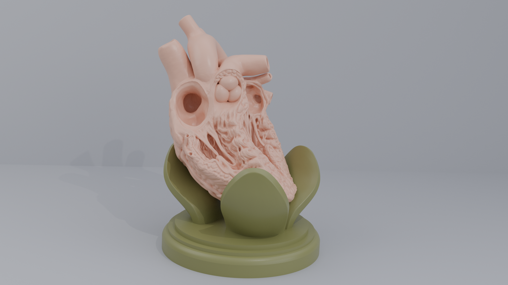 Human Heart Cross section 3D printing
