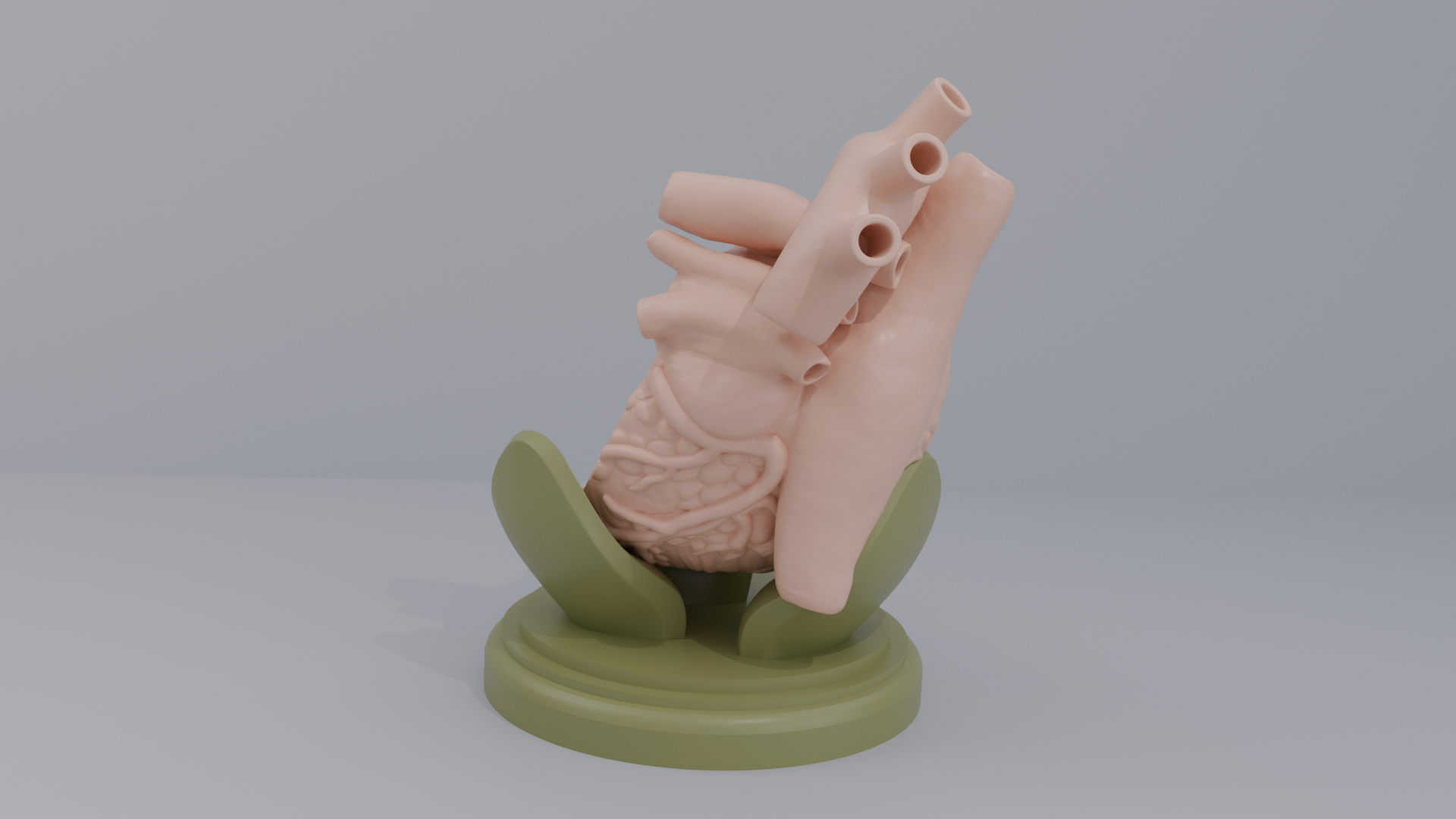Human Heart Cross section 3D printing