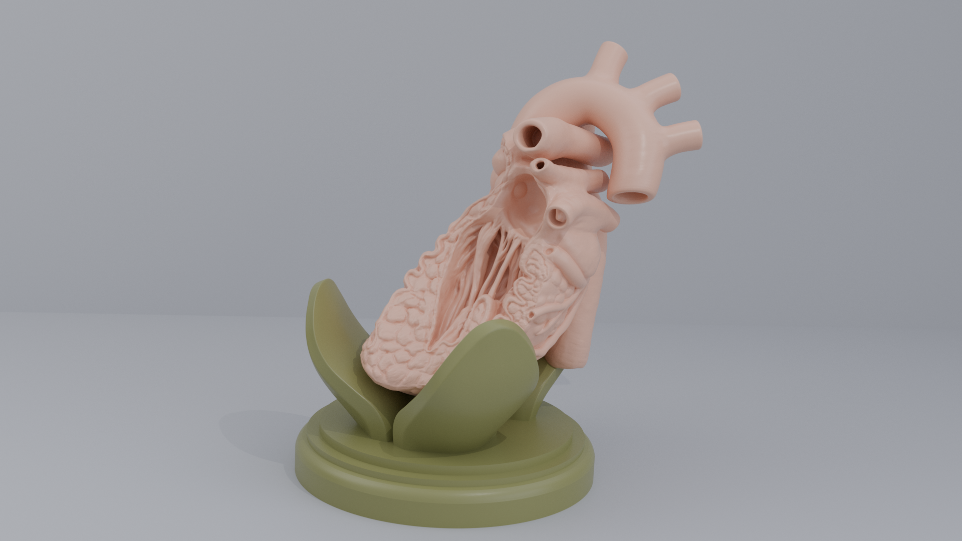 Human Heart Cross section 3D printing